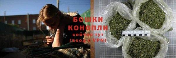бошки Елабуга
