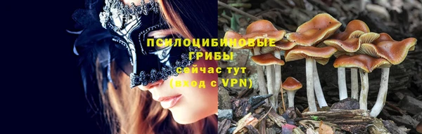 сатива Елизово