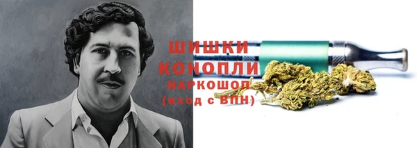сатива Елизово