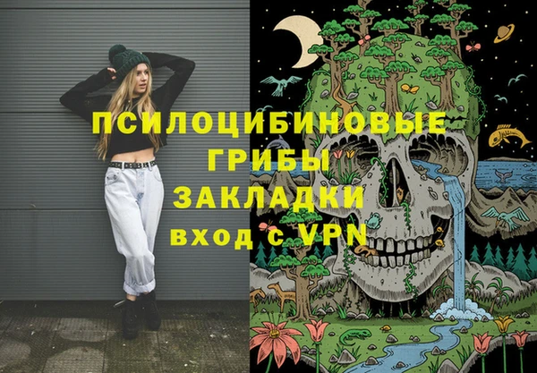 сатива Елизово