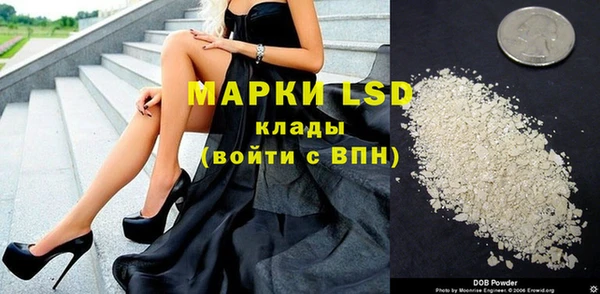 сатива Елизово