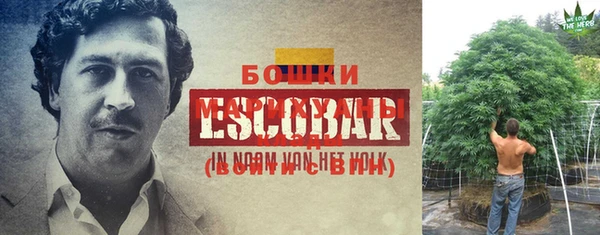 бошки Елабуга