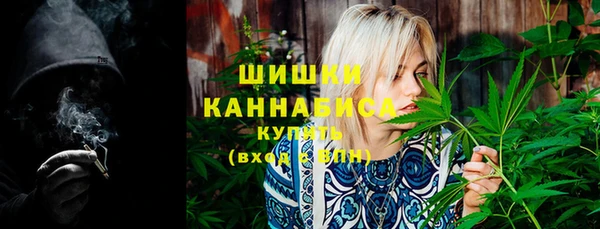 сатива Елизово