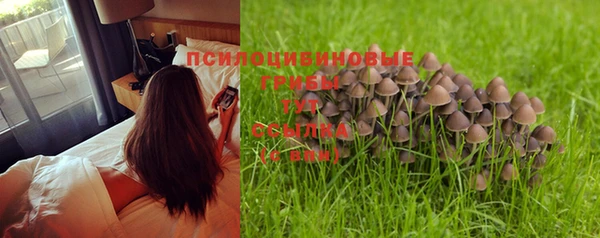 герыч Ельня