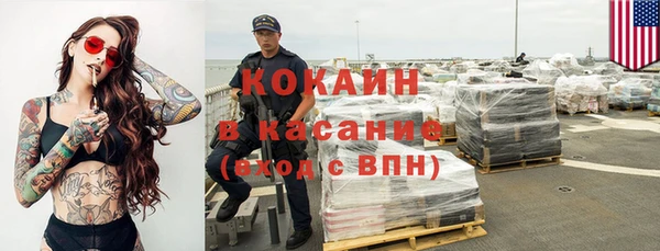 сатива Елизово