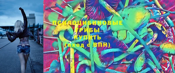 сатива Елизово